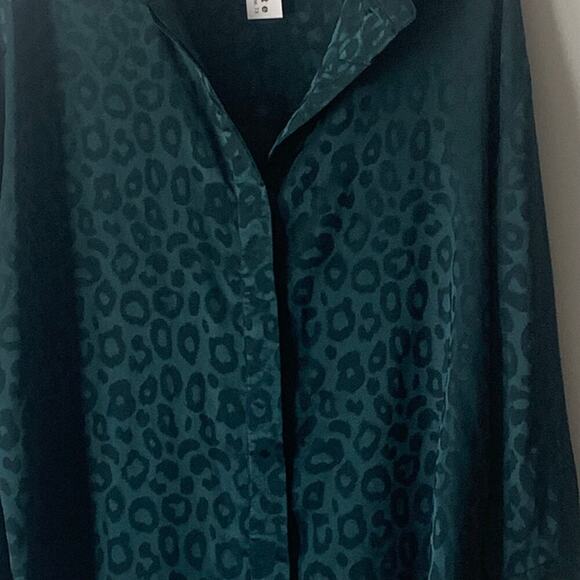 Glam Dark Green Leopard Print LS V-Neck Blouse Oversize Small New with Tags - Picture 3 of 9